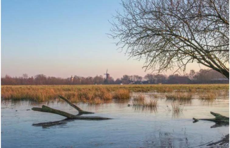 Sari Villa Steendam Exteriör bild